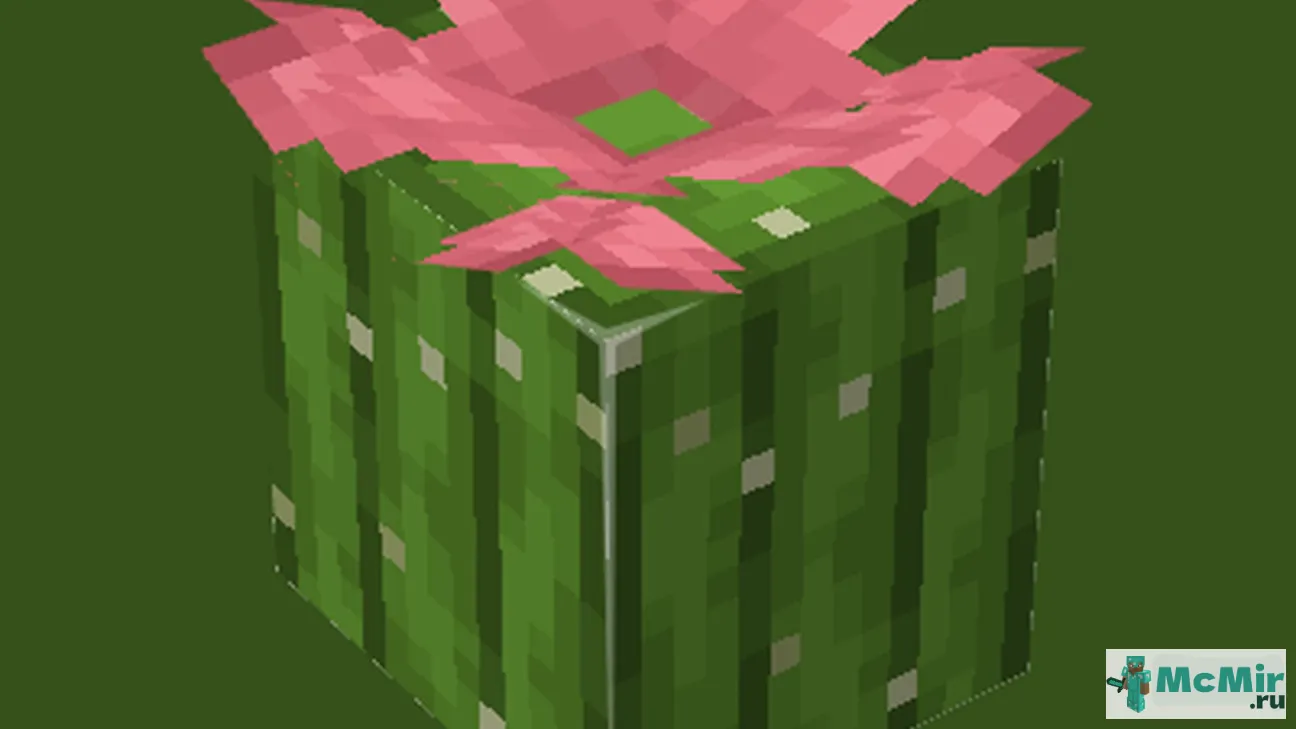 Текстура Цветущий кактус | Скачать текстуру для Minecraft: 1