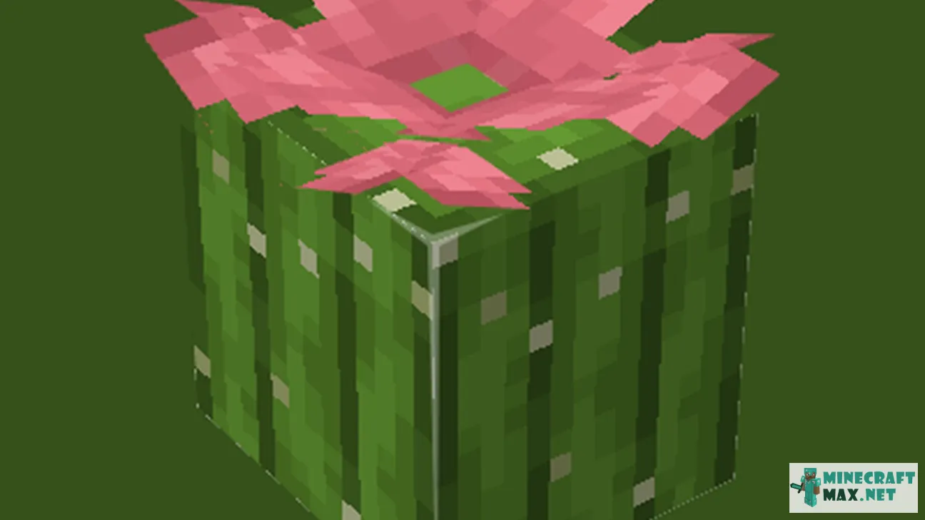 Flowering cactus | Download texture for Minecraft: 1
