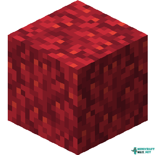 Fire Coral Block in Minecraft