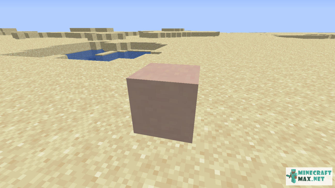 Black gem in Minecraft | Screenshot 1083