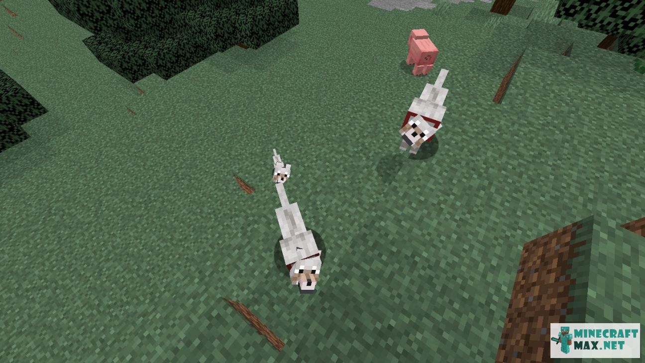 Tamed wolf in Minecraft | Screenshot 3