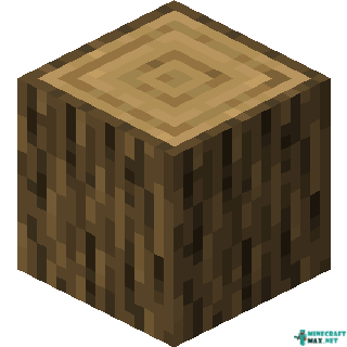 Oak Log in Minecraft