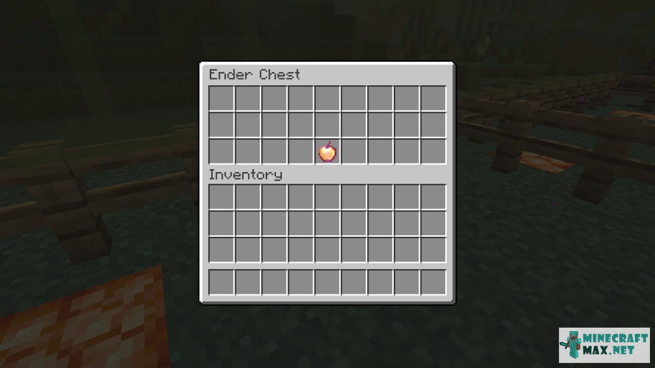 Black gem in Minecraft | Screenshot 580