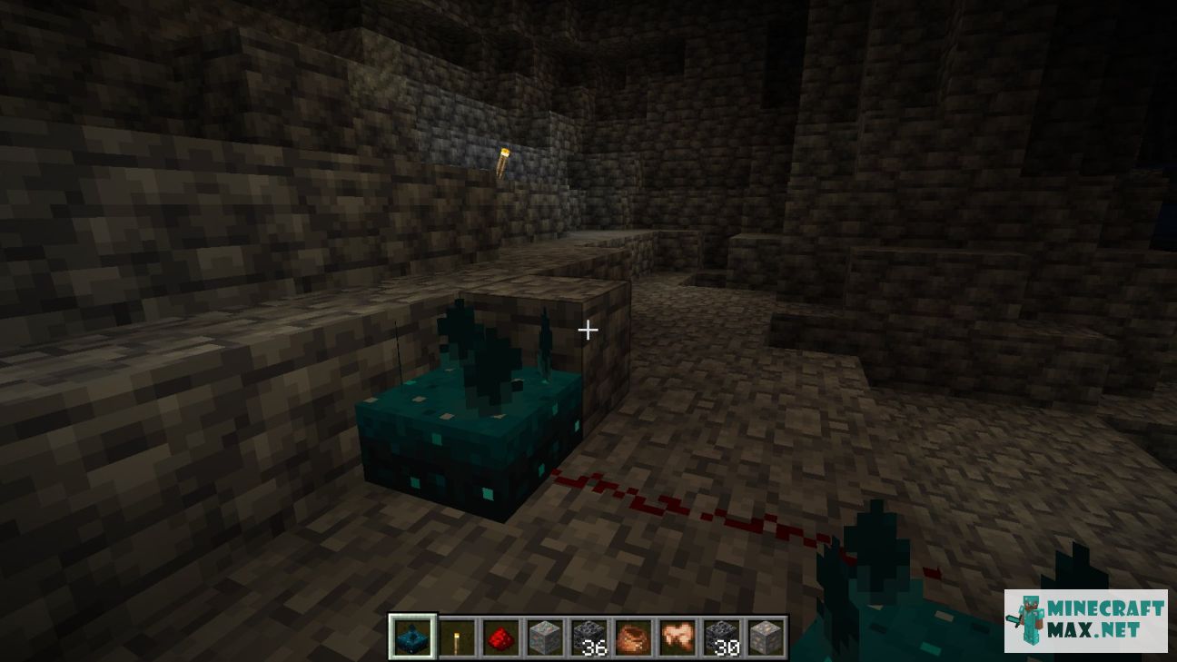 Black gem in Minecraft | Screenshot 3416