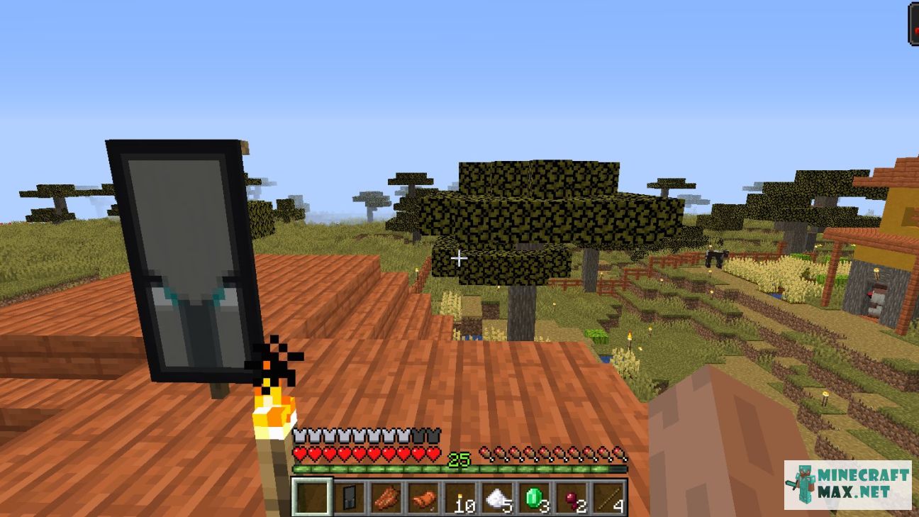 Black gem in Minecraft | Screenshot 2814