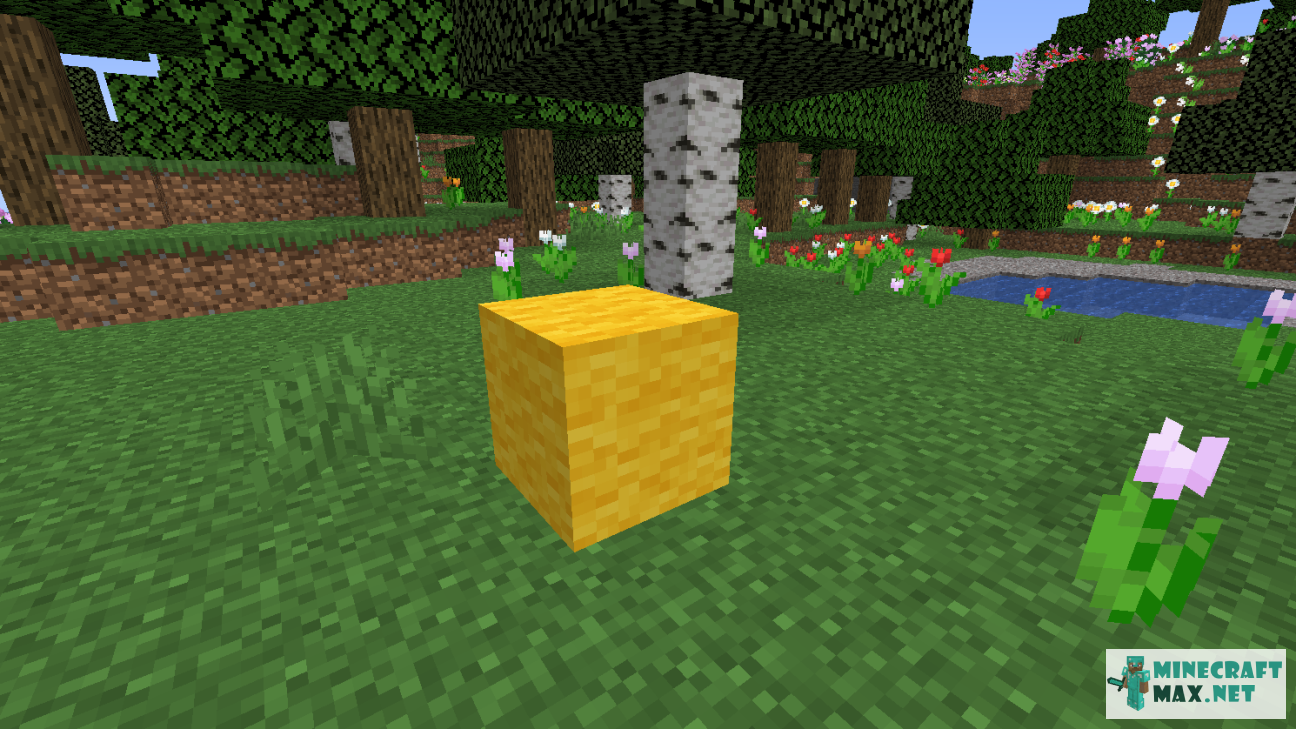 Modem in Minecraft | Screenshot 1153