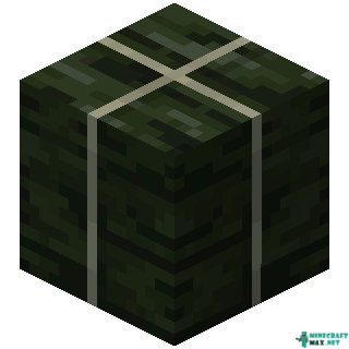 Dried Kelp Block in Minecraft