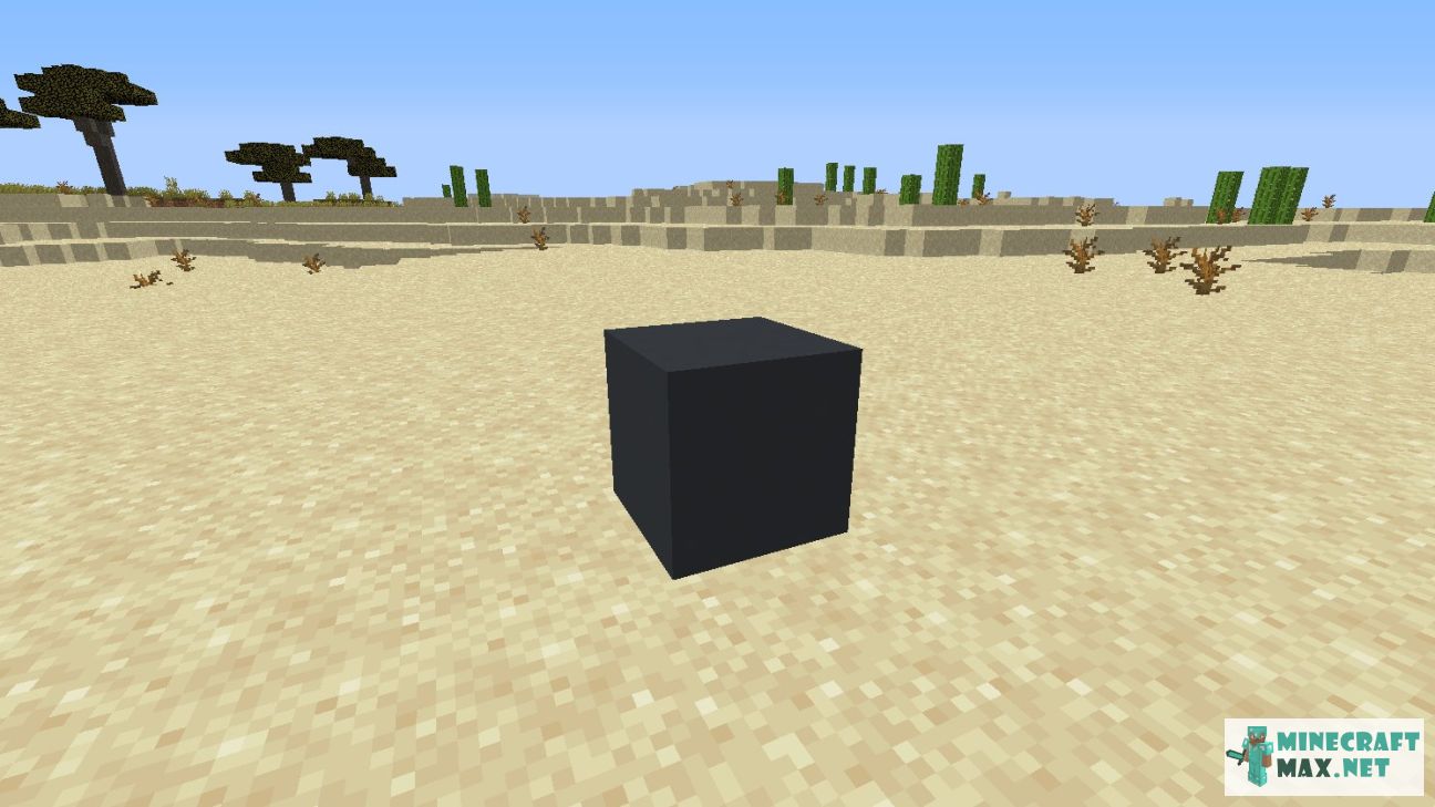 Black gem in Minecraft | Screenshot 2698