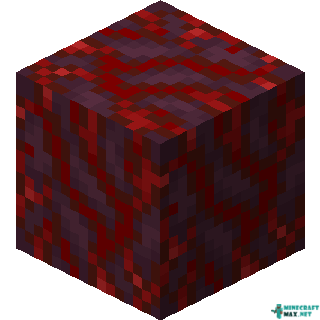 Crimson Hyphae in Minecraft