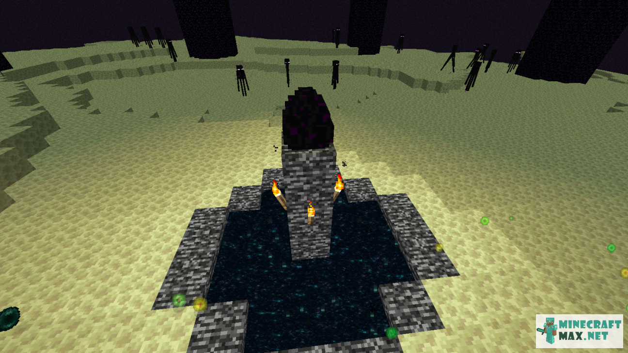 Black gem in Minecraft | Screenshot 565