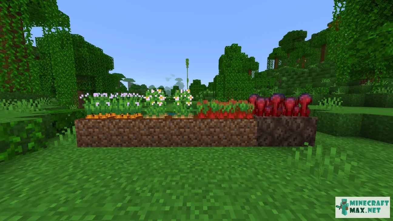 Full Crop Growth Hint | Bedrock Tweaks | Download texture for Minecraft: 1