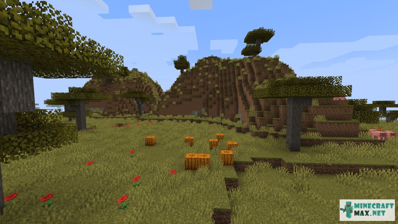 Modem in Minecraft | Screenshot 3491