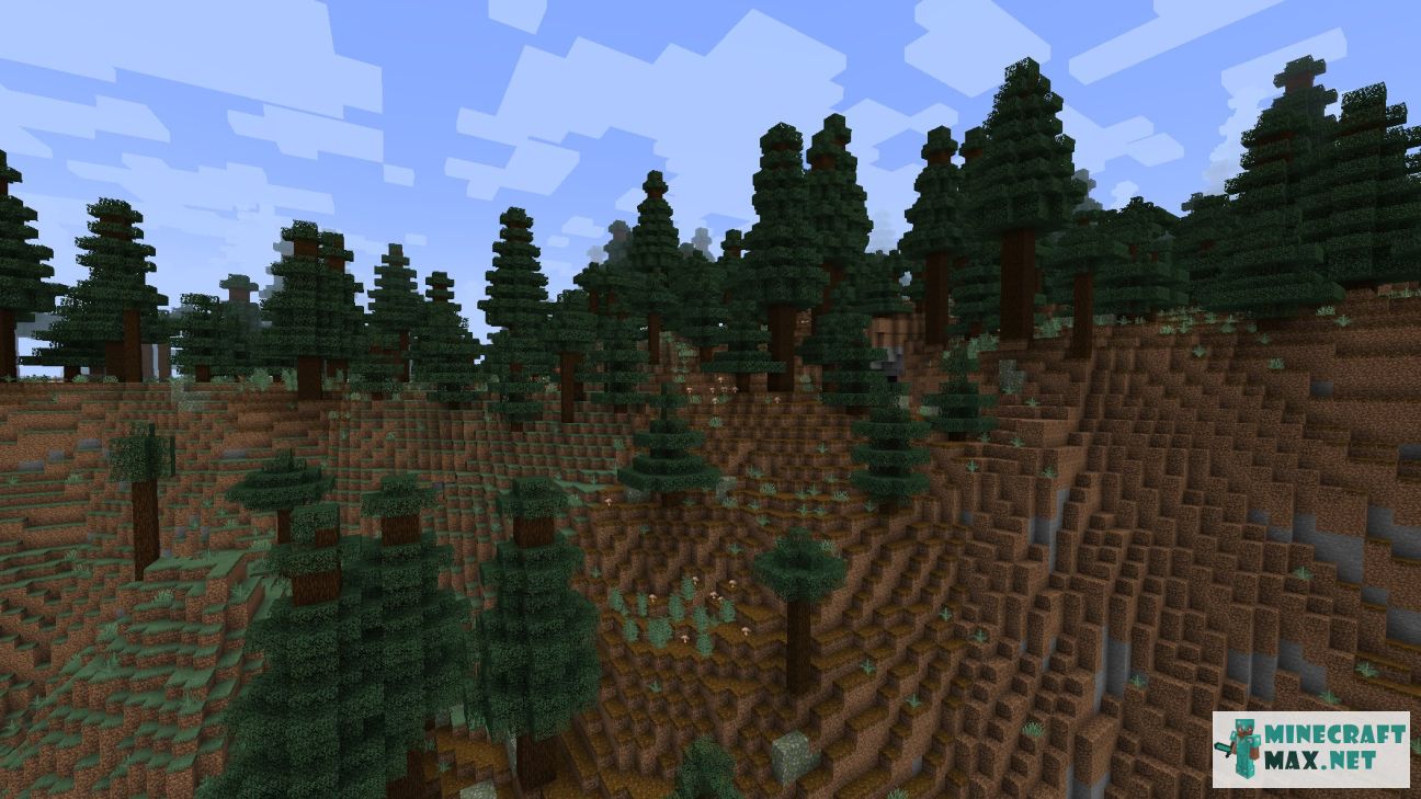 My take on path for the old growth spruce taiga biome : r/Minecraft