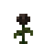 Wither Rose in Minecraft