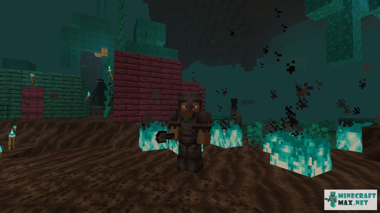 Black gem in Minecraft | Screenshot 2029