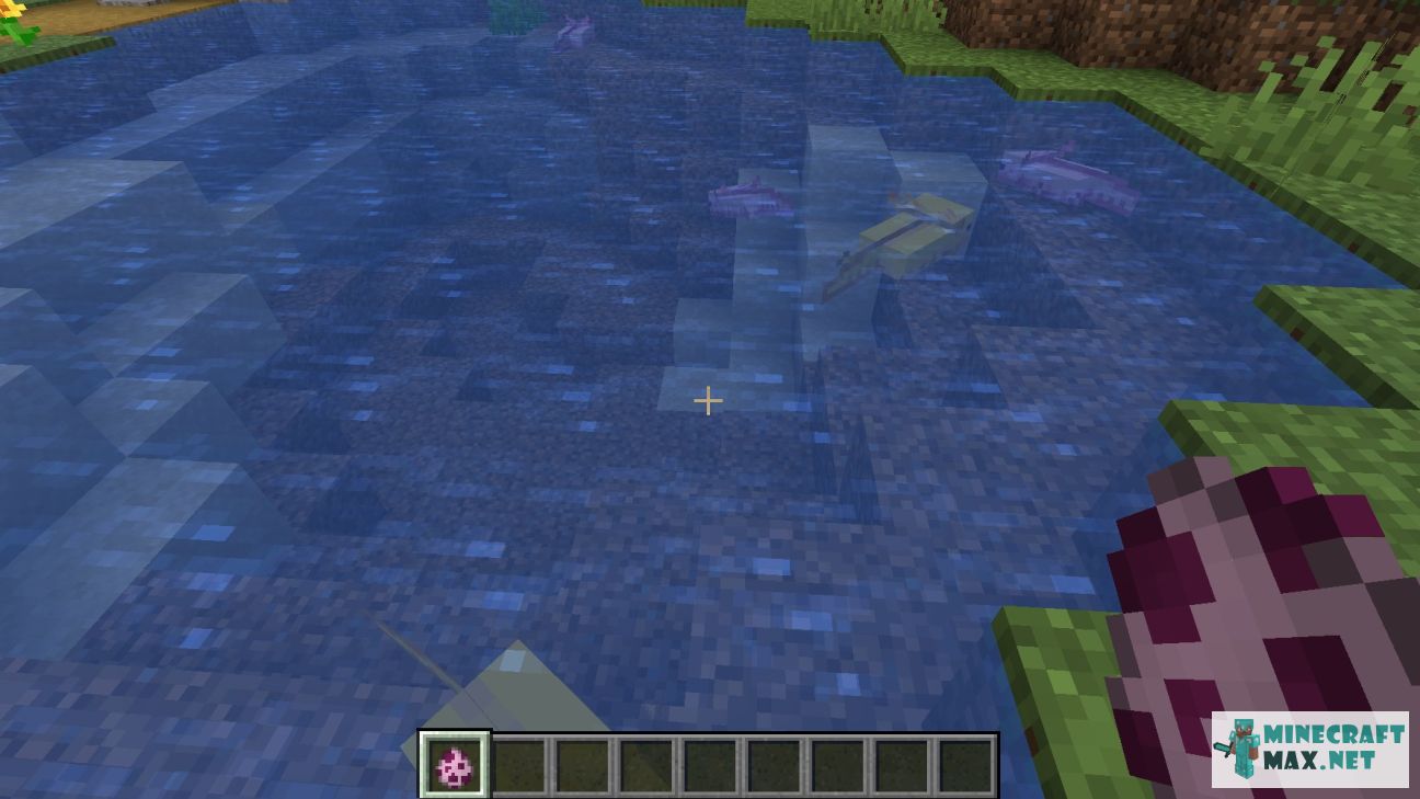 Axolotl Spawn Egg in Minecraft | Screenshot 1