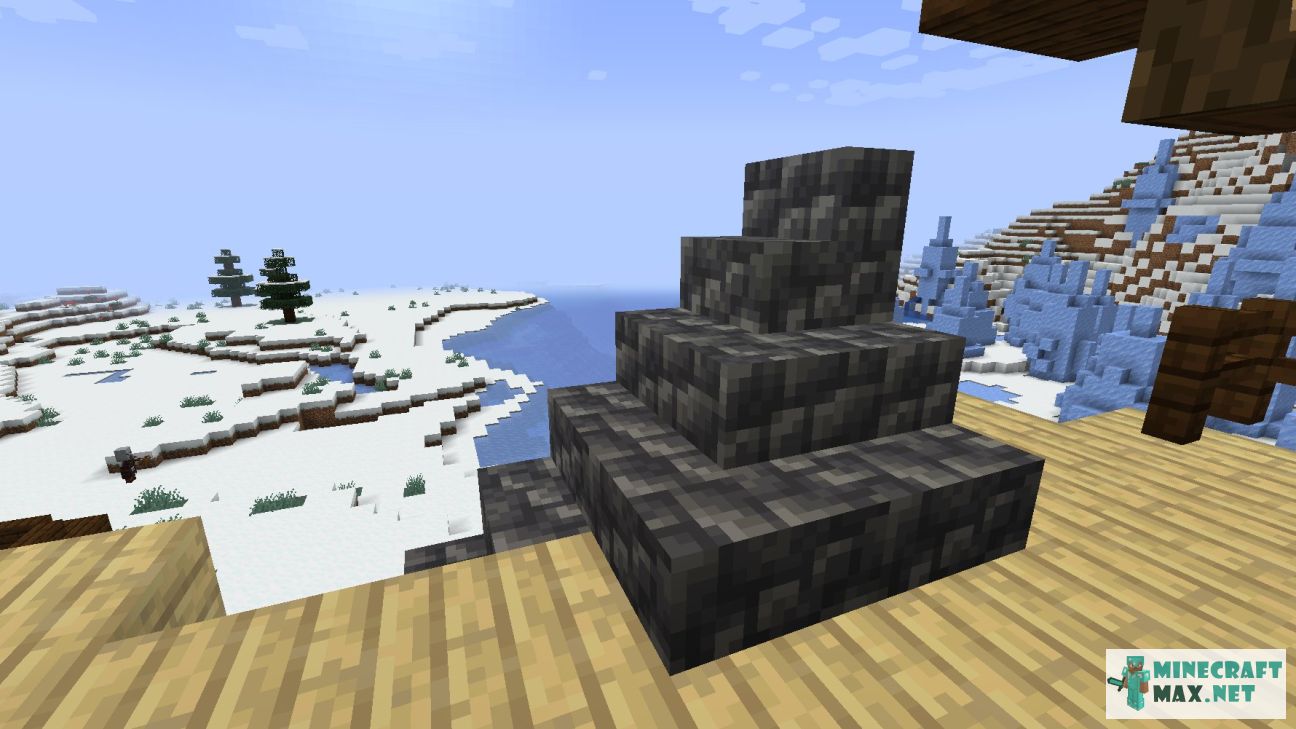 Black gem in Minecraft | Screenshot 3421