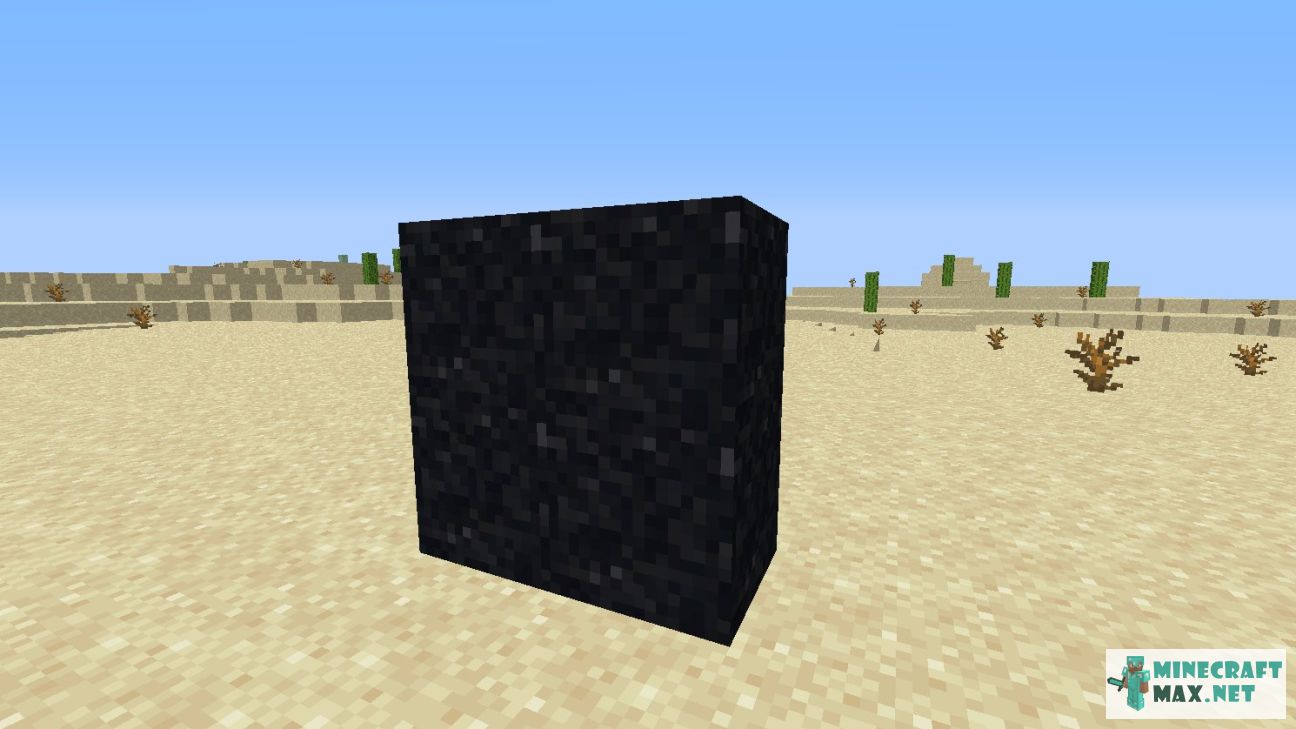 Black gem in Minecraft | Screenshot 2685