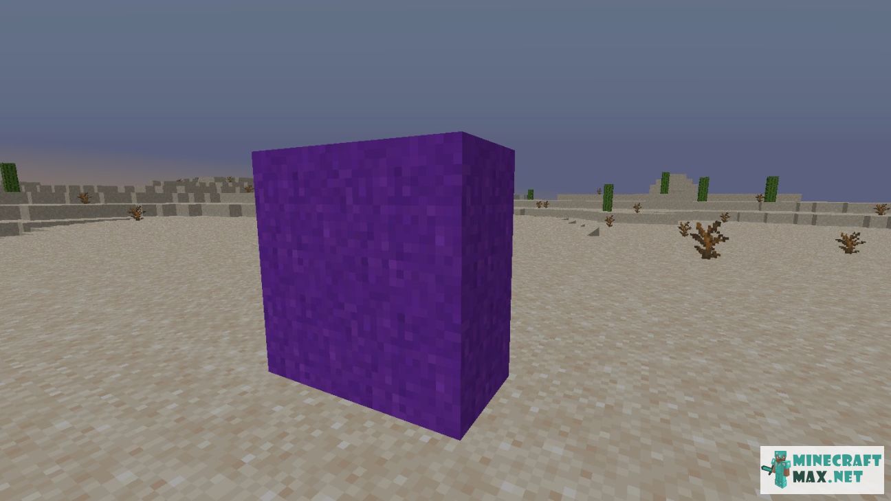 Black gem in Minecraft | Screenshot 2732