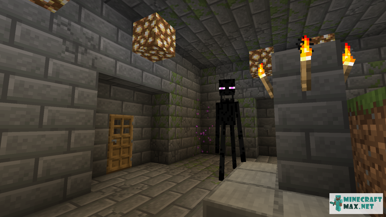 Quests Portrait of an aggressive enderman for Minecraft | Screenshot 9