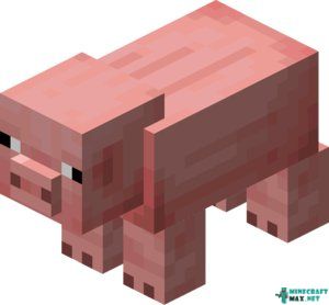 Pig in Minecraft