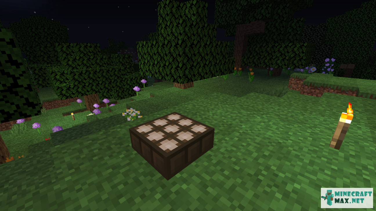 Modem in Minecraft | Screenshot 598