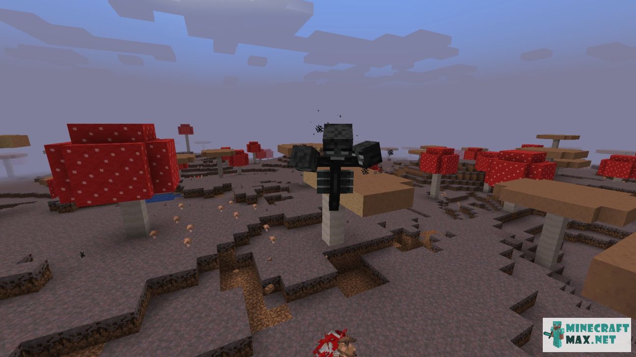 Wither in Minecraft | Screenshot 3