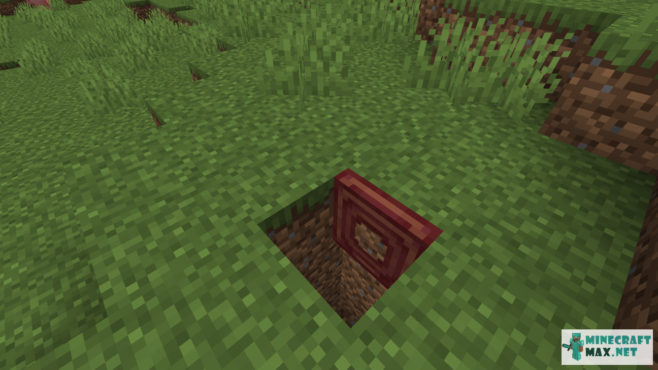 Mangrove Trapdoor in Minecraft | Screenshot 2