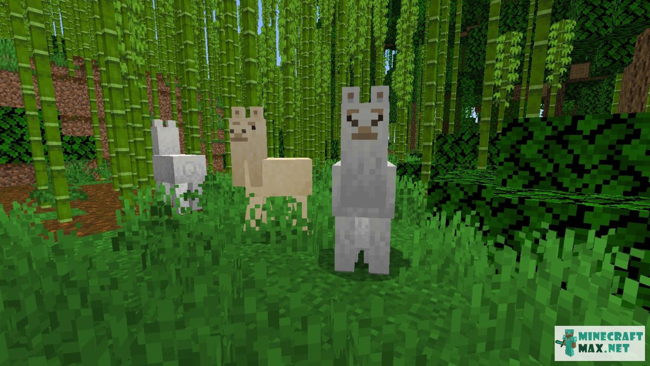 Llama Spawn Egg How To Craft Llama Spawn Egg In Minecraft Minecraft 