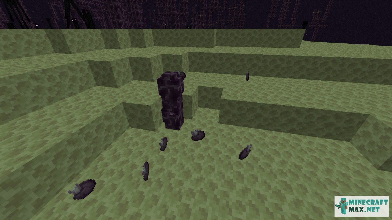 Black gem in Minecraft | Screenshot 1594
