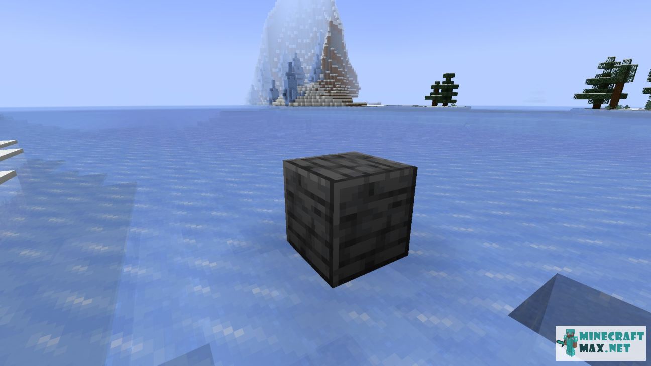 Black gem in Minecraft | Screenshot 3424