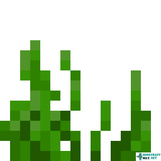 Seagrass in Minecraft