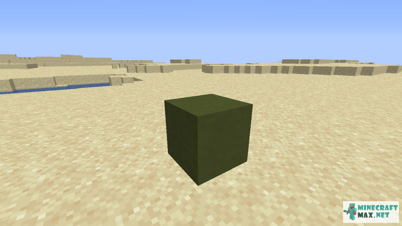 Black gem in Minecraft | Screenshot 1160