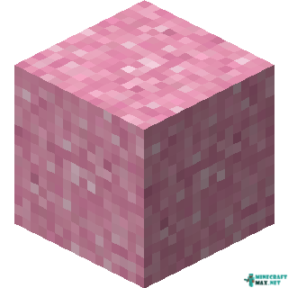 Pink Concrete Powder in Minecraft