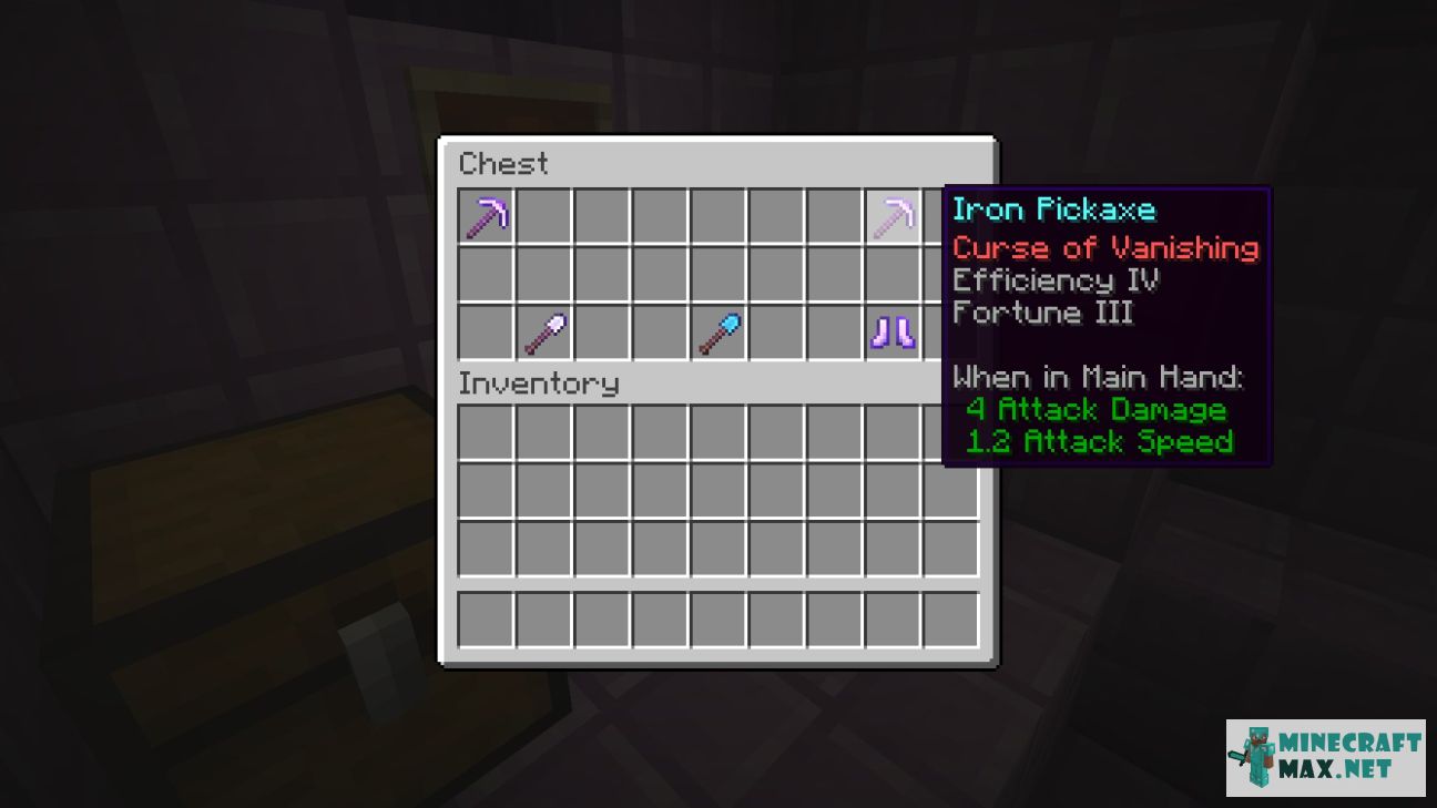 Black gem in Minecraft | Screenshot 1616