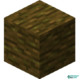 Jungle Wood in Minecraft