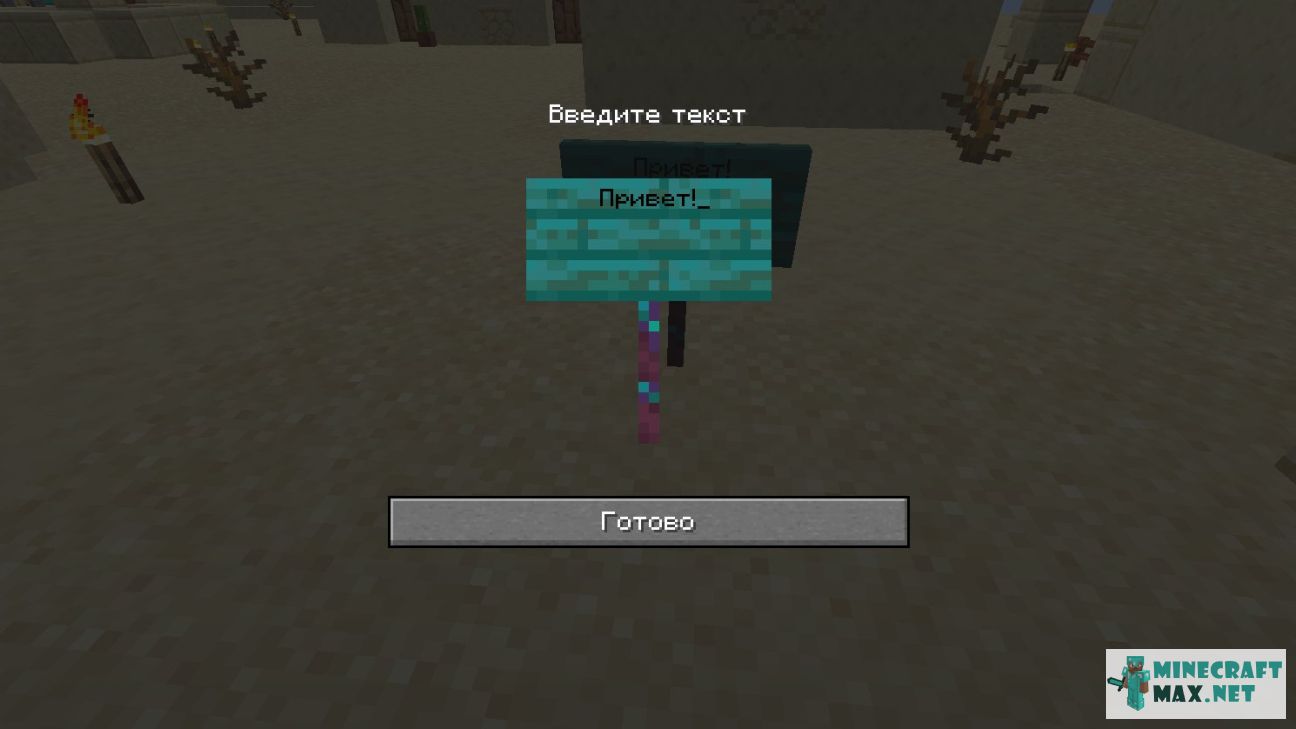 Black gem in Minecraft | Screenshot 2844