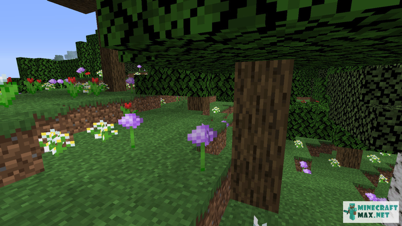 Allium Minecraft