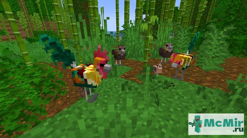 Текстура Куры в джунглях | Скачать текстуру для Minecraft: 1