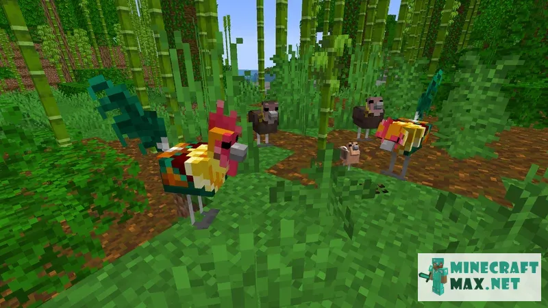 Chooks to Red Junglefowls! | Download texture for Minecraft: 1