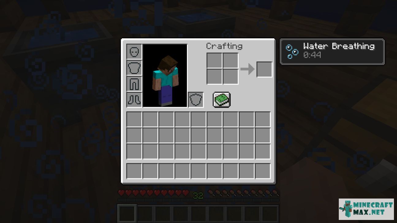 Black gem in Minecraft | Screenshot 2434