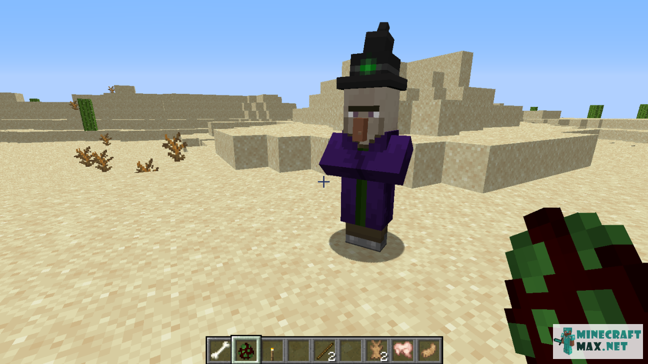 Witch Spawn Egg in Minecraft | Screenshot 1