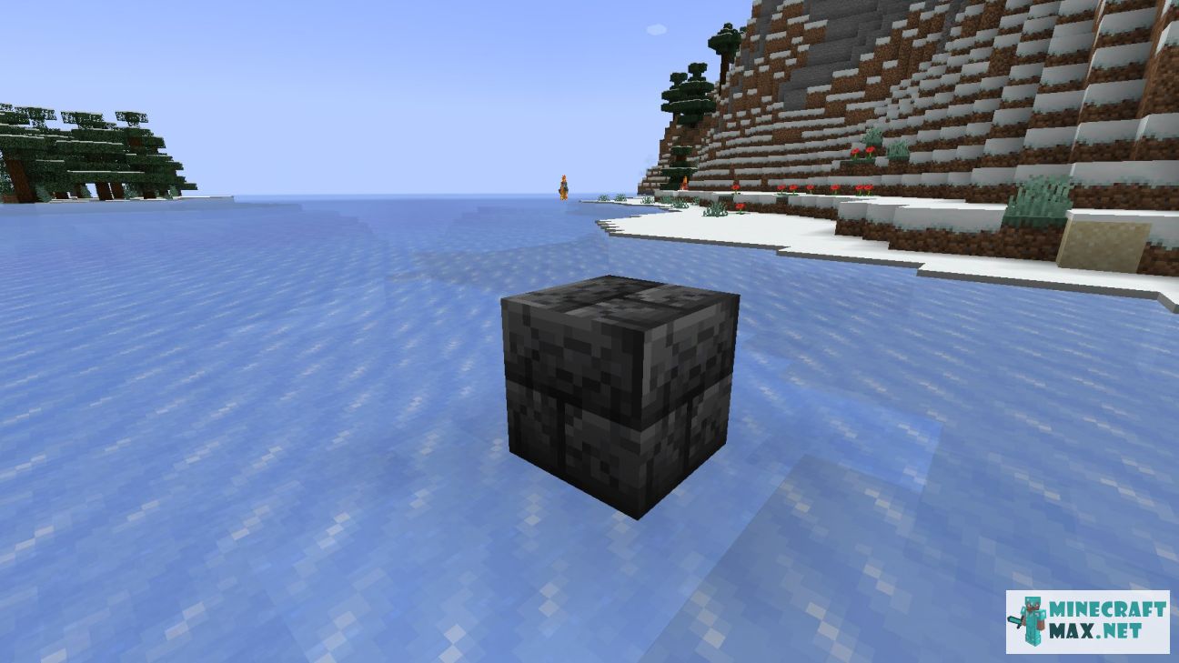 Black gem in Minecraft | Screenshot 3437