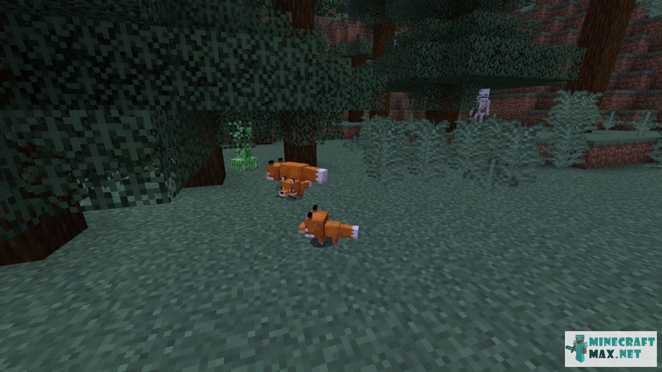Modem in Minecraft | Screenshot 3684