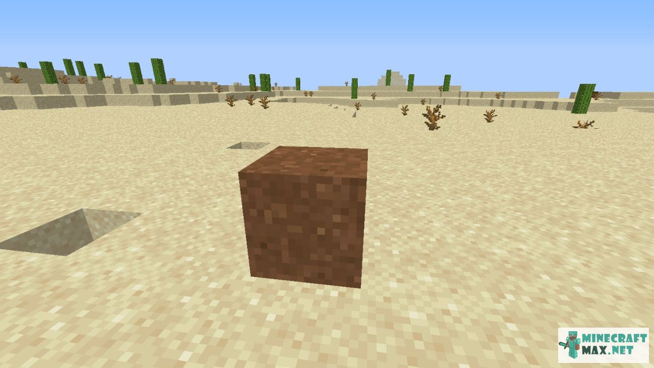 Black gem in Minecraft | Screenshot 2692