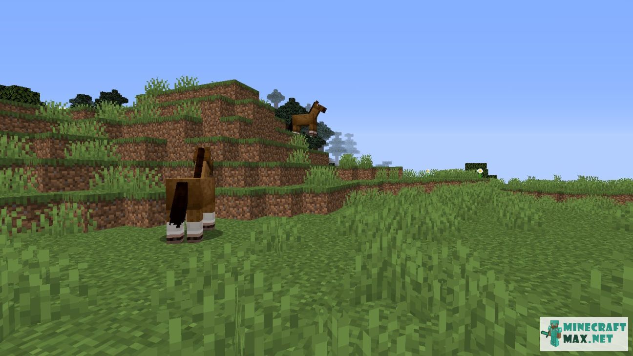 Modem in Minecraft | Screenshot 1052