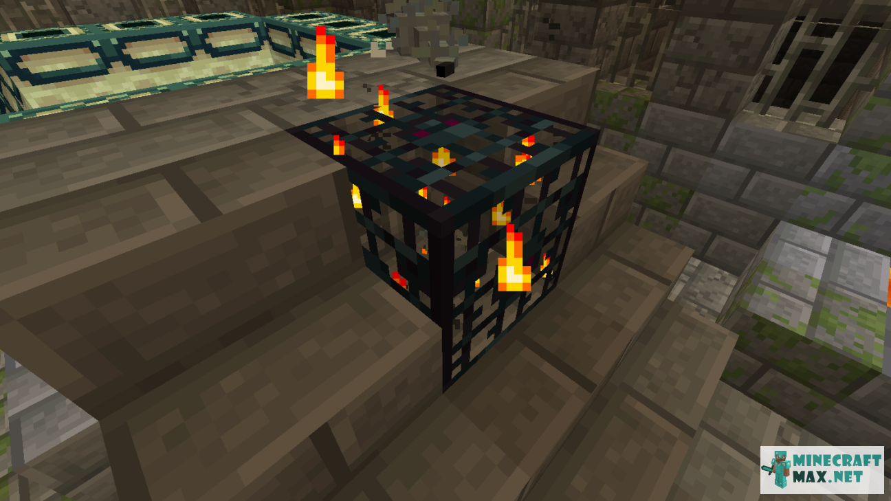 Black gem in Minecraft | Screenshot 1546
