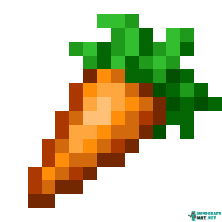 Carrot in Minecraft