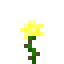 Yellow Rose in Minecraft