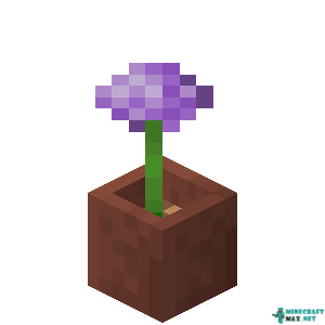 Potted Allium in Minecraft